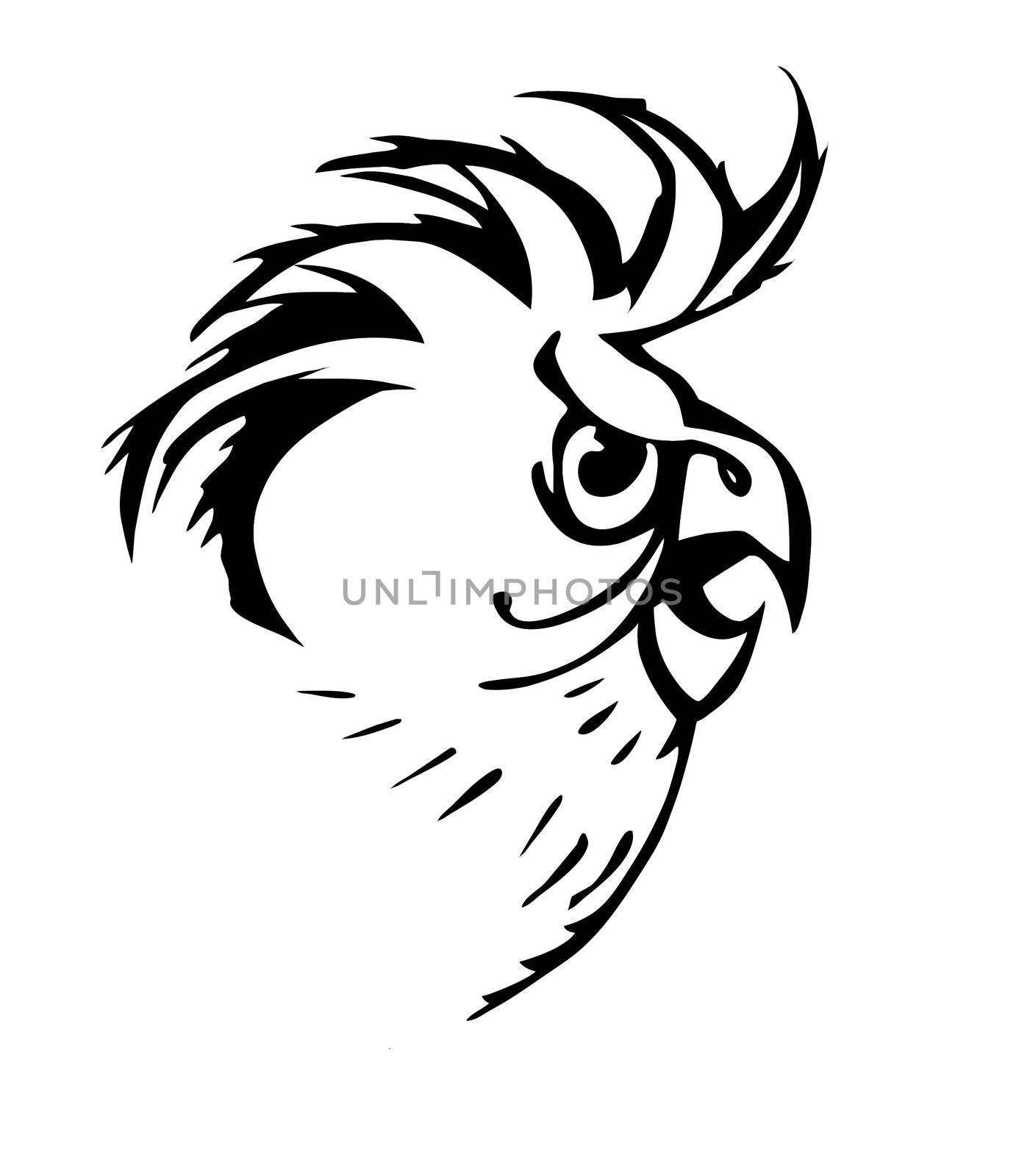 vector silhouette of the parrot on white background by basel101658