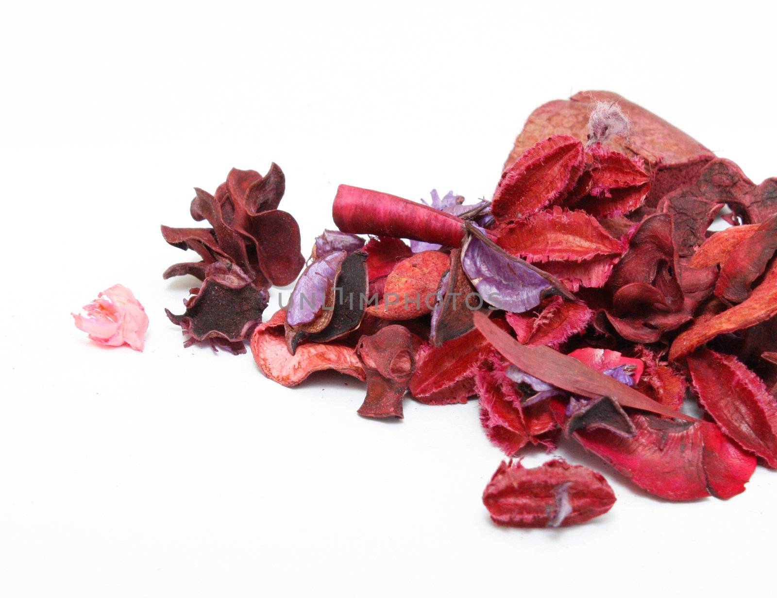 Potpourri by leeser