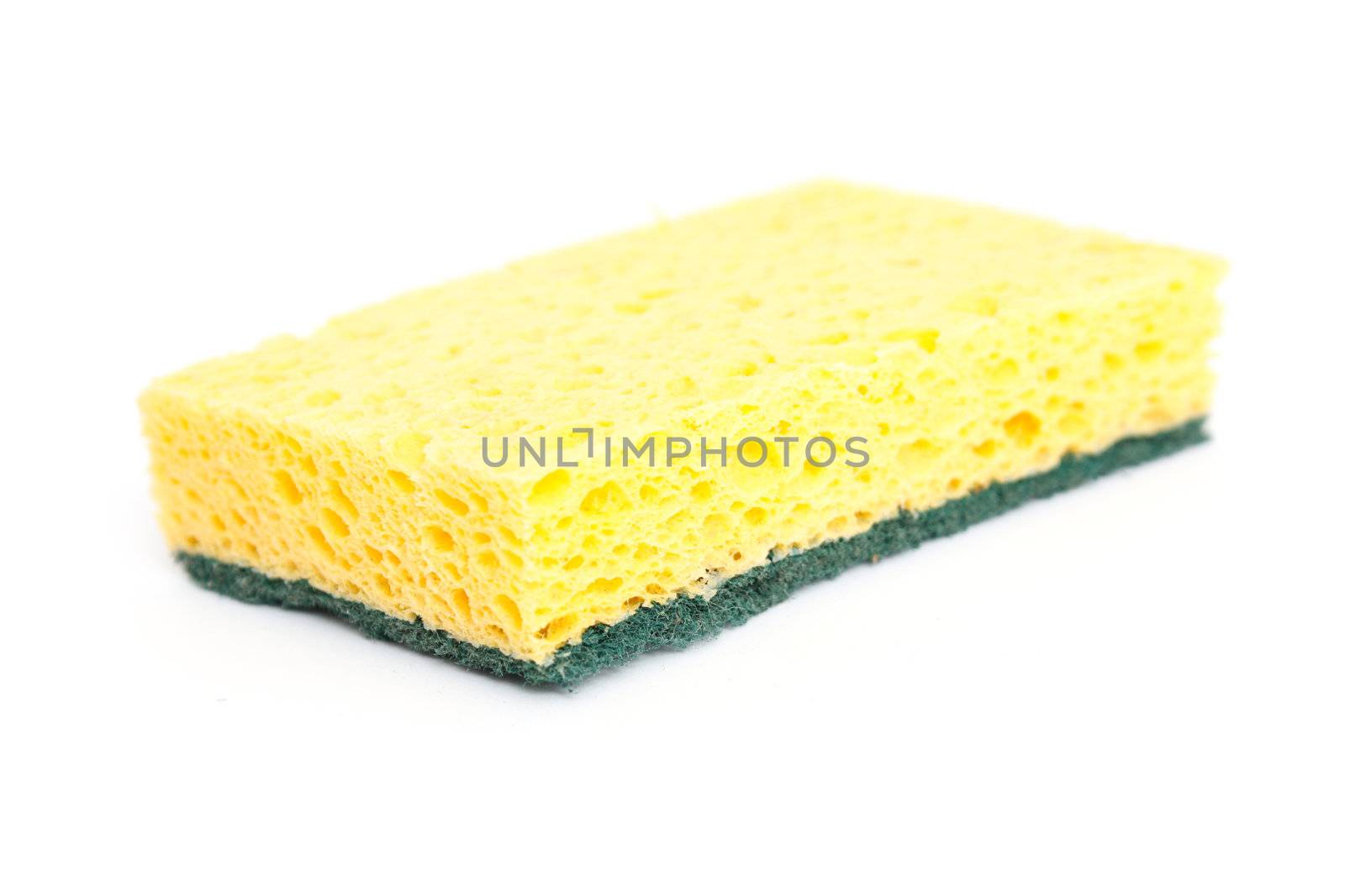 Yellow sponge by leeser