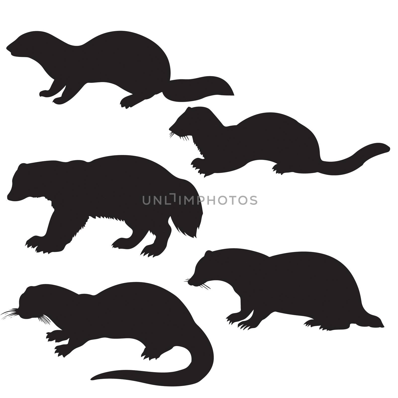 vector silhouettes animal on white background by basel101658