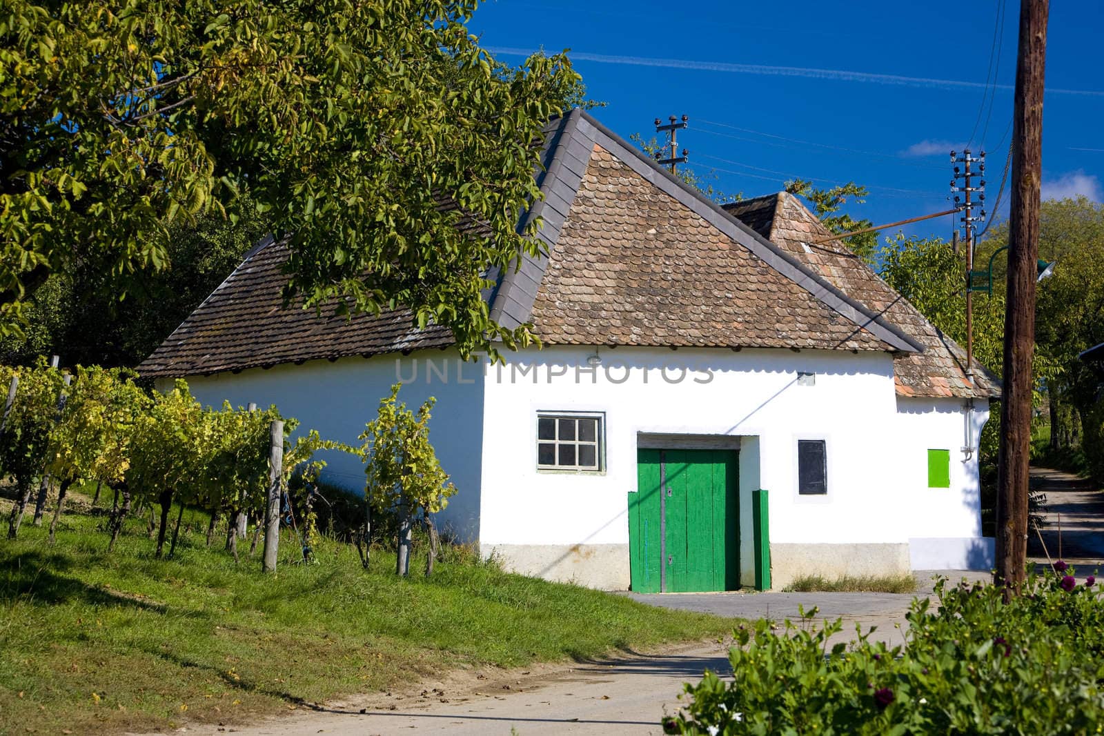 wine cellars, Unterretzbach, Austria