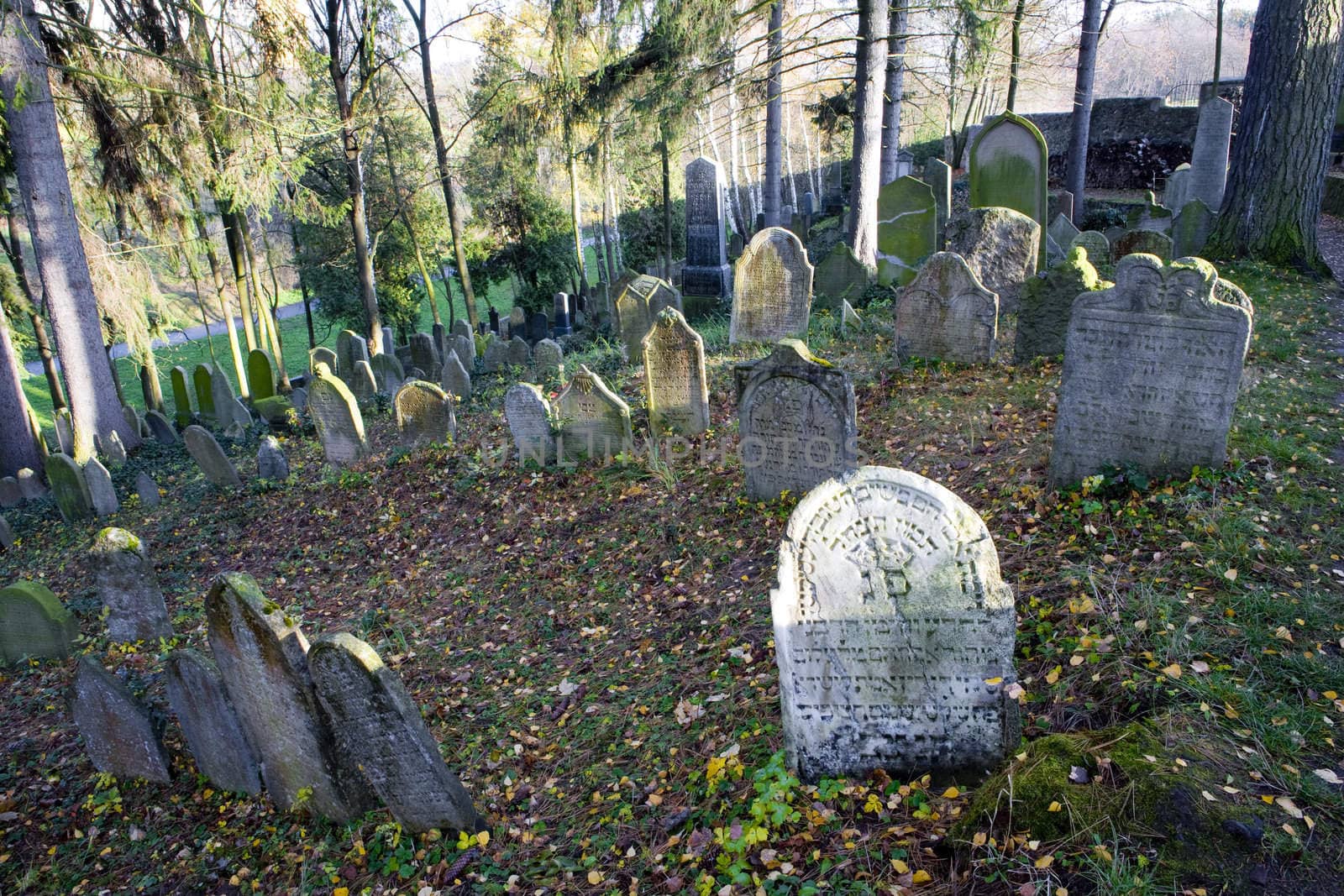 Jewish Cemetery, Trebic, Czech Republic