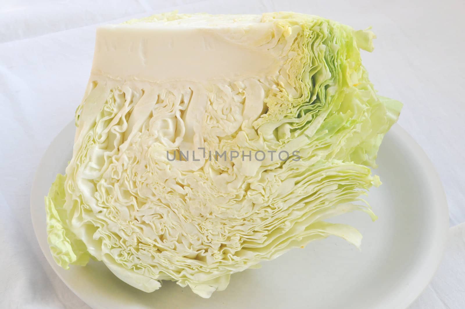 Cabbage leafy vegetable plant with edible leaves
