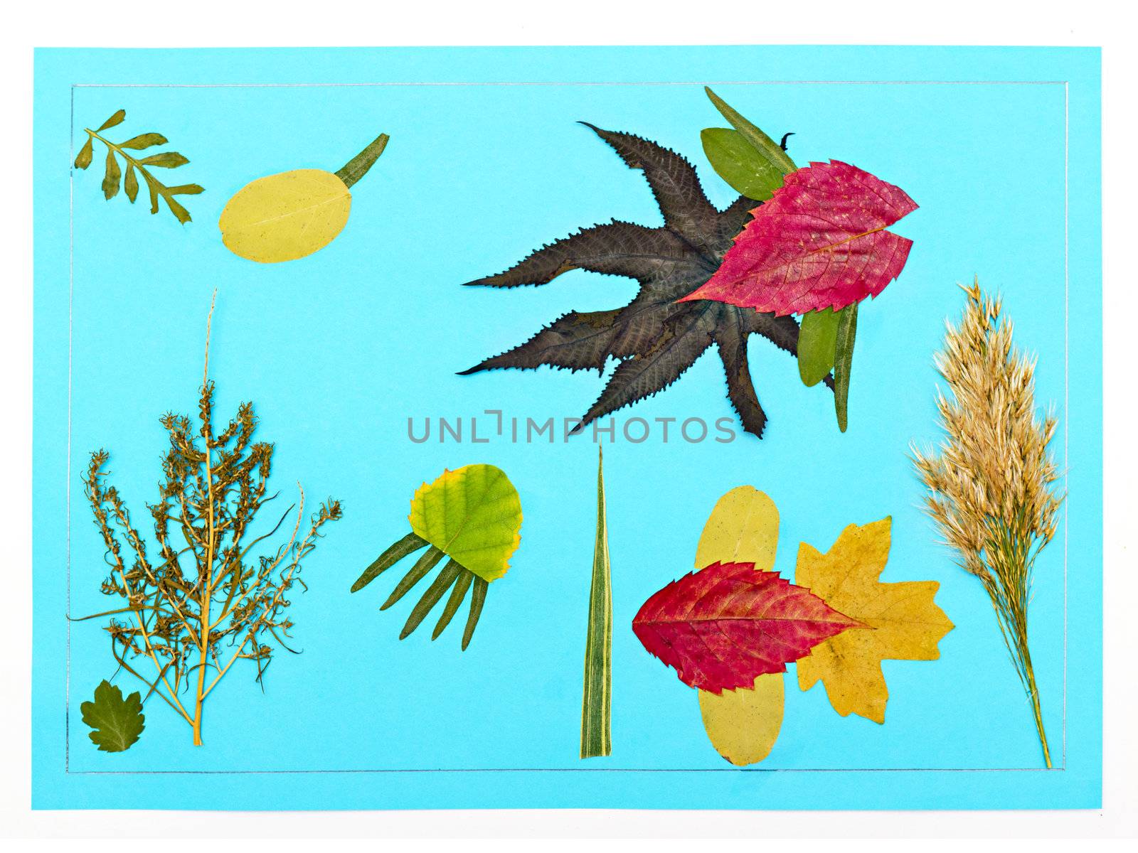 Children applique of autumn leaves in the background