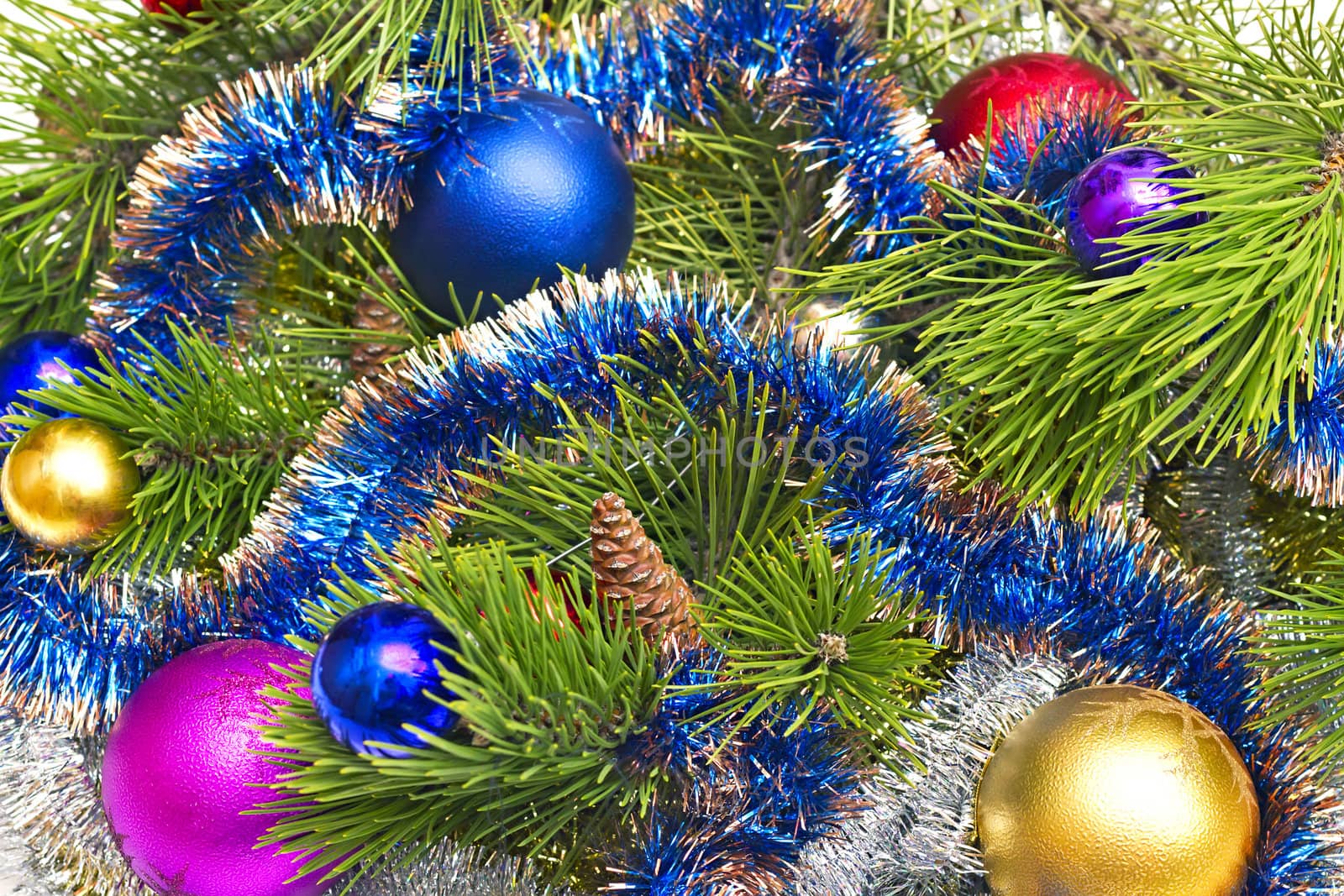 pine branch with cones and Christmas decorations in the background