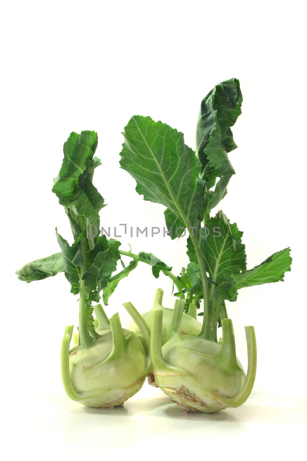 three fresh cabbage on a white background