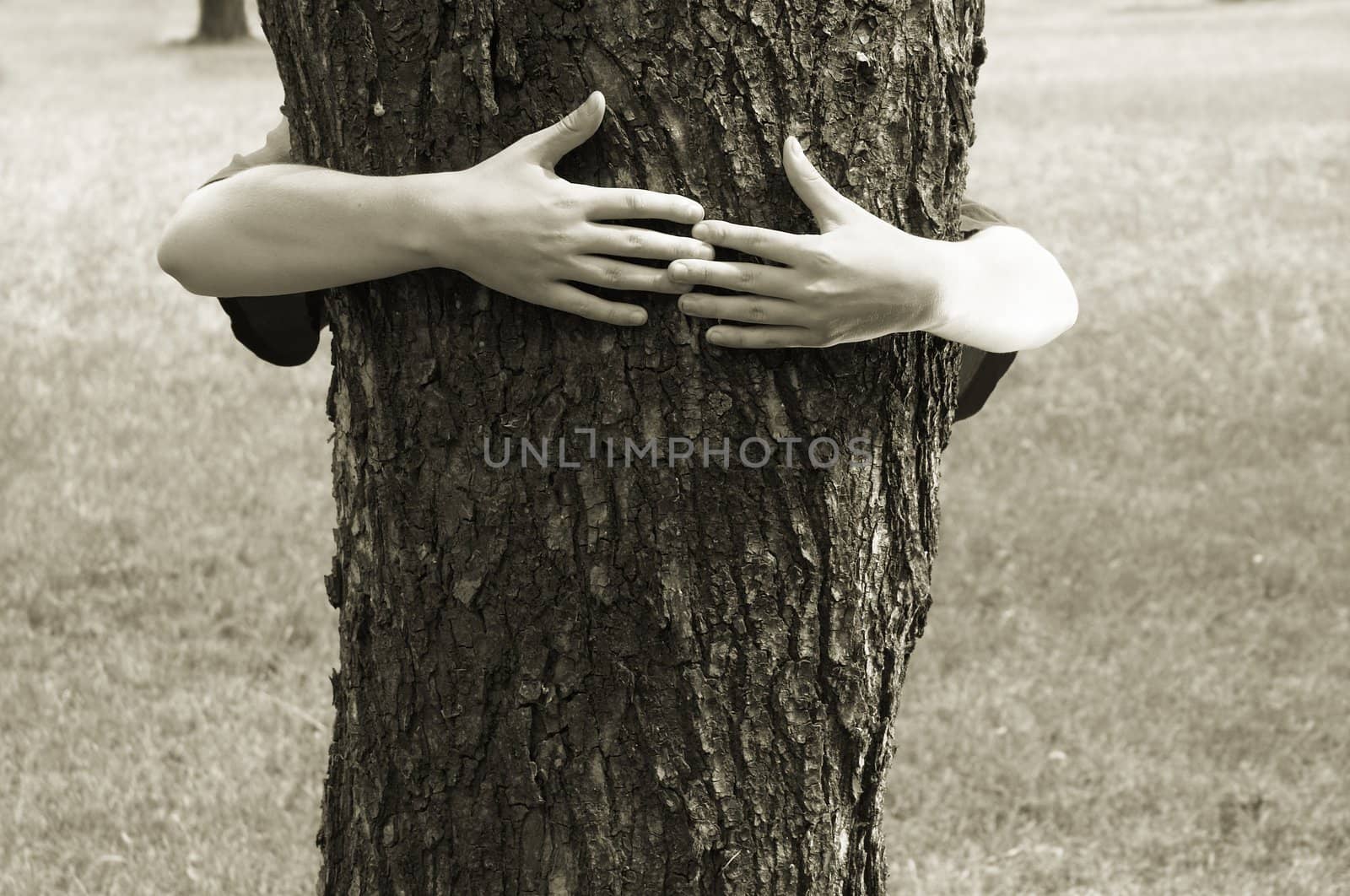 hands clasping the tree by Kuzma