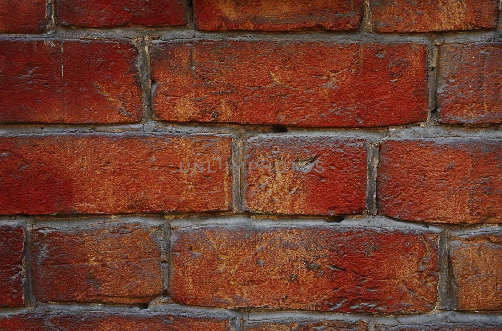 bricks by Kuzma