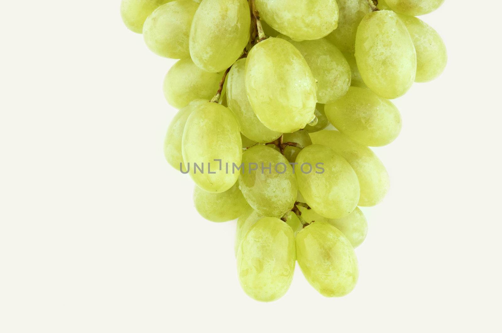 wet sweet grapes by Kuzma