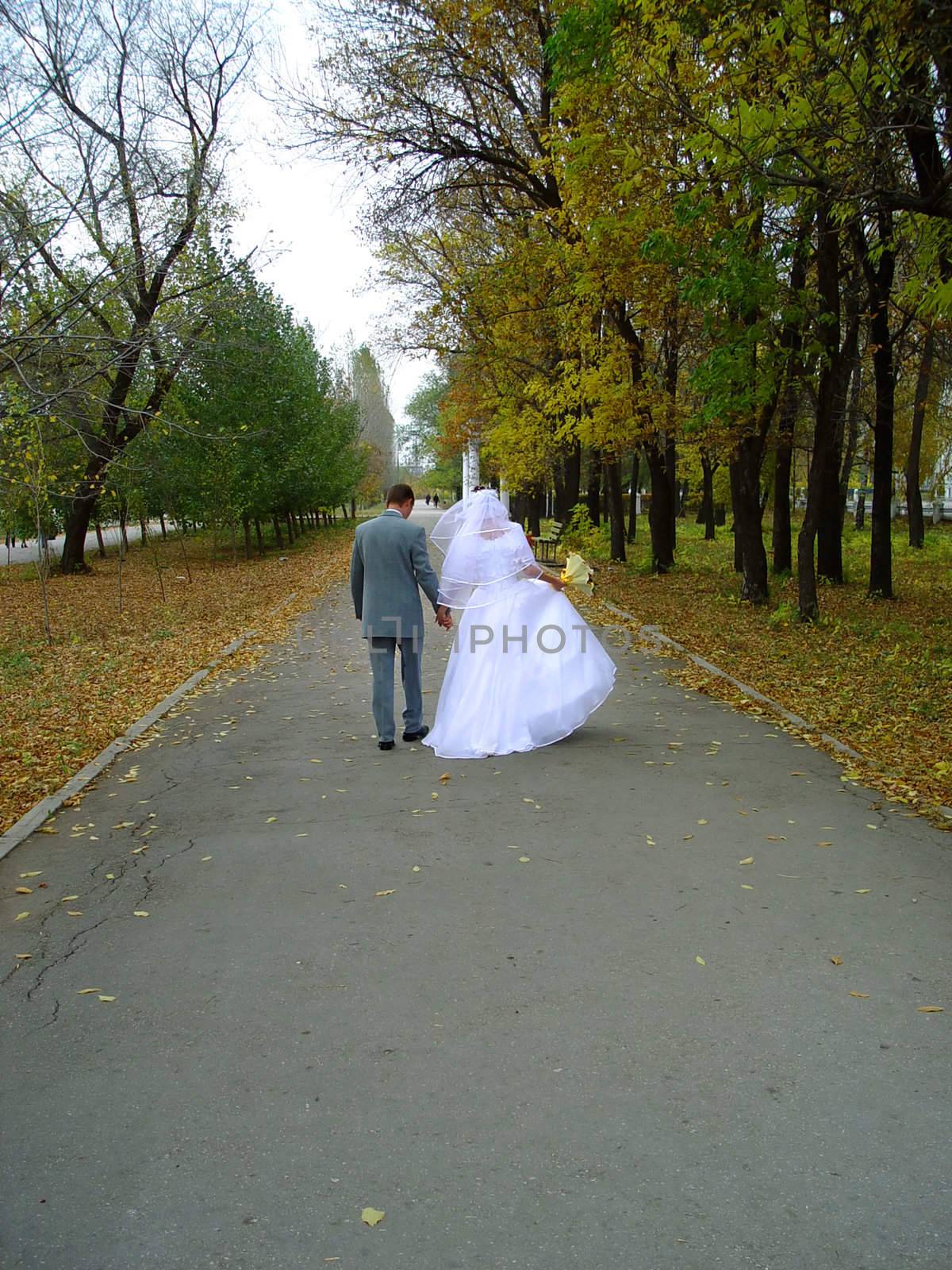 wedding by Kuzma
