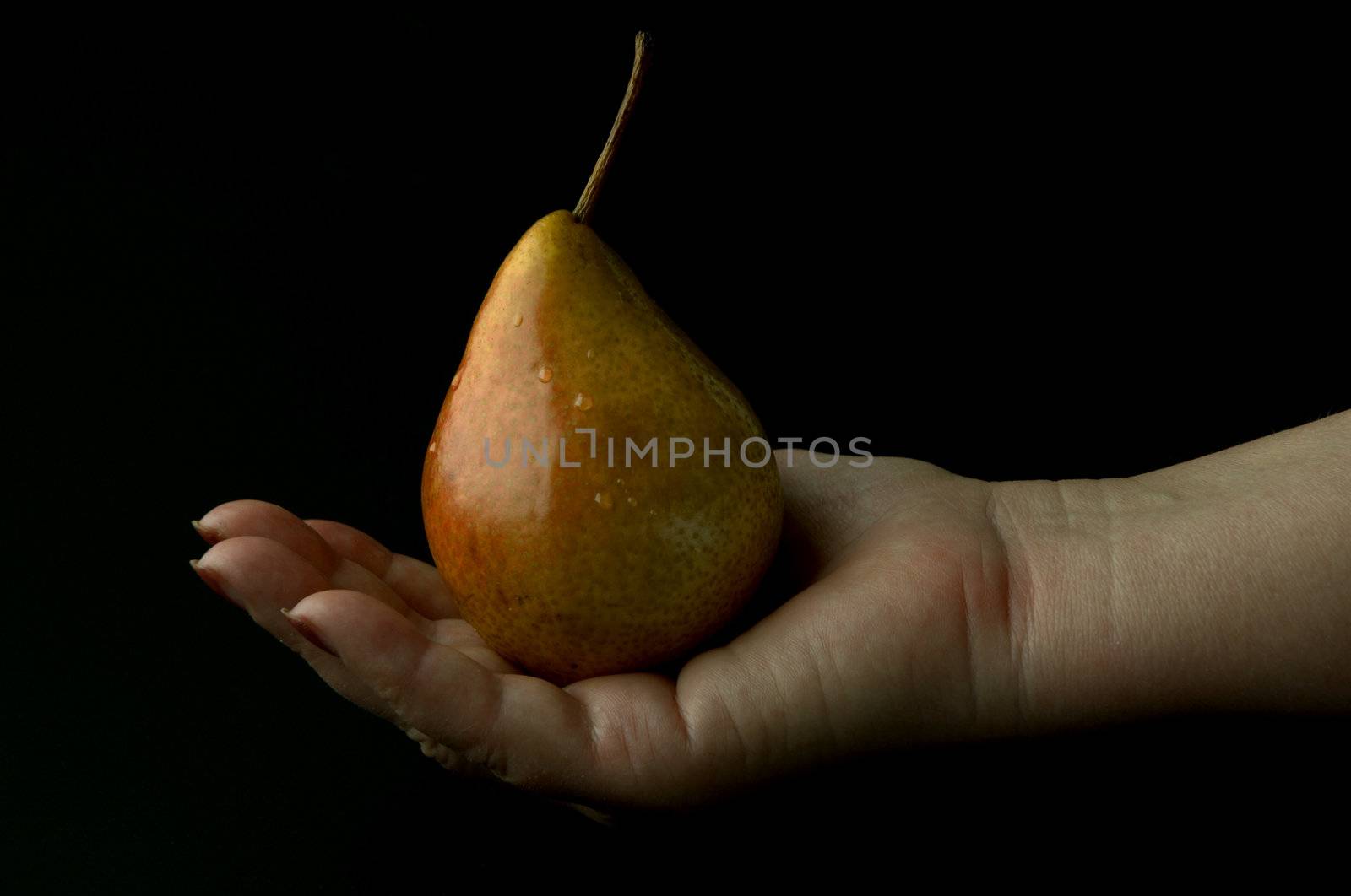 wet pear on the hand