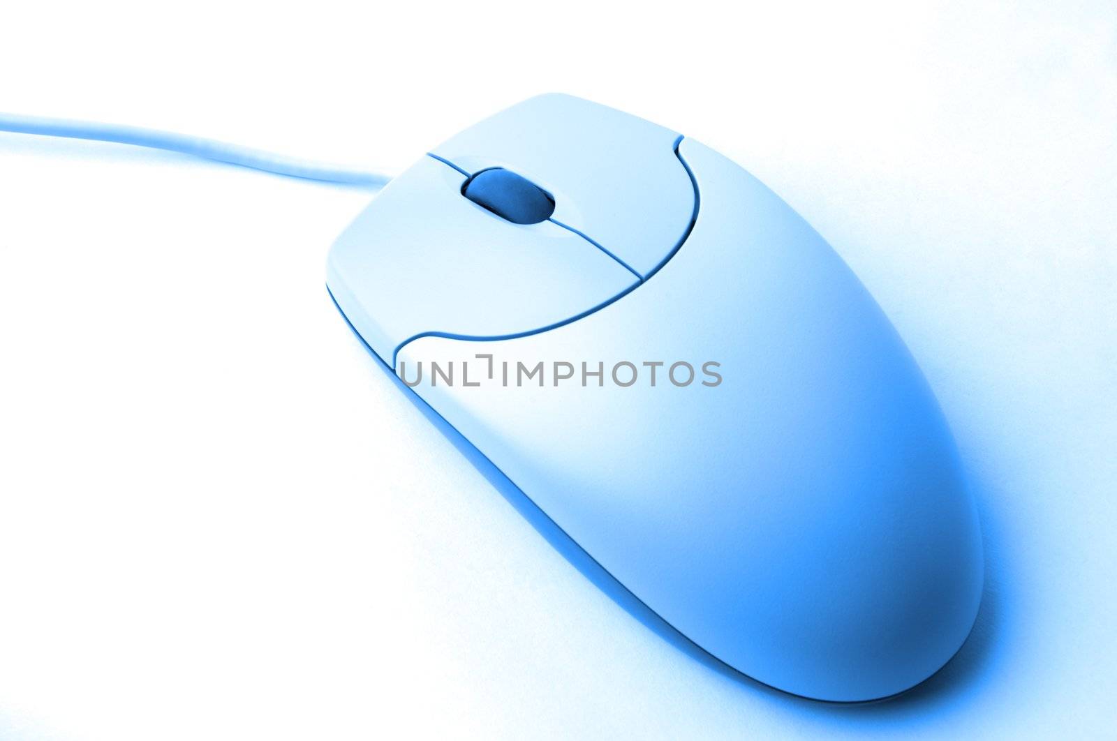 close up of the blue mouse by Kuzma