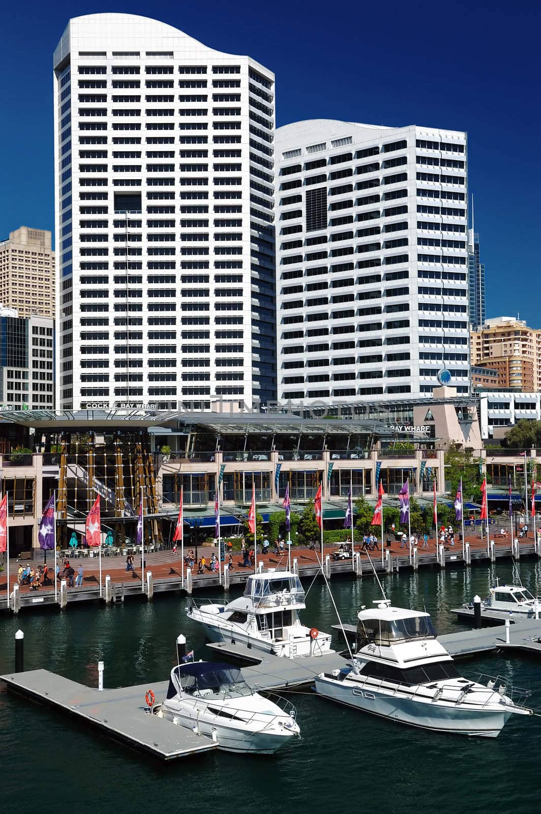 Modern harbour with skyscrapers and yachts