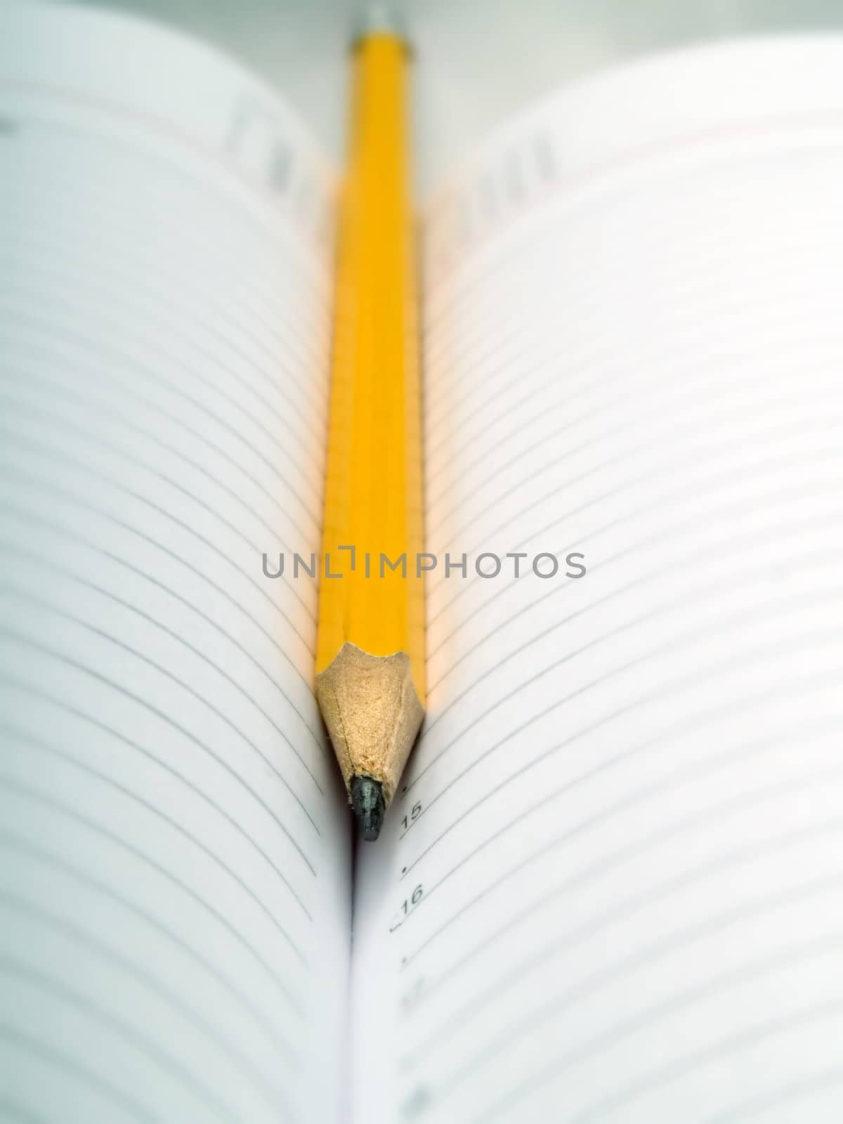 Pencil on an organizer