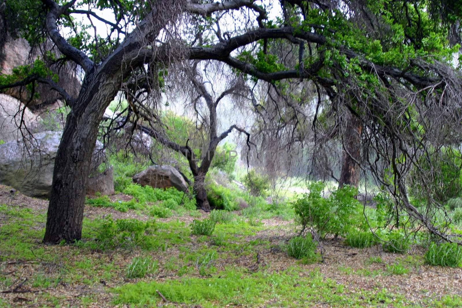 Santa Susana Mountains is a tourist destination for fans of old western movies.