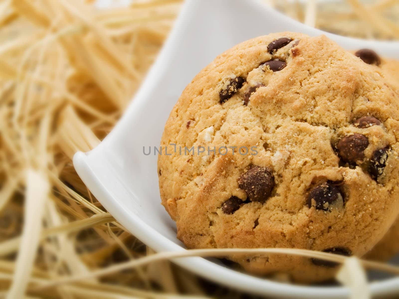 Cookies in a white plate