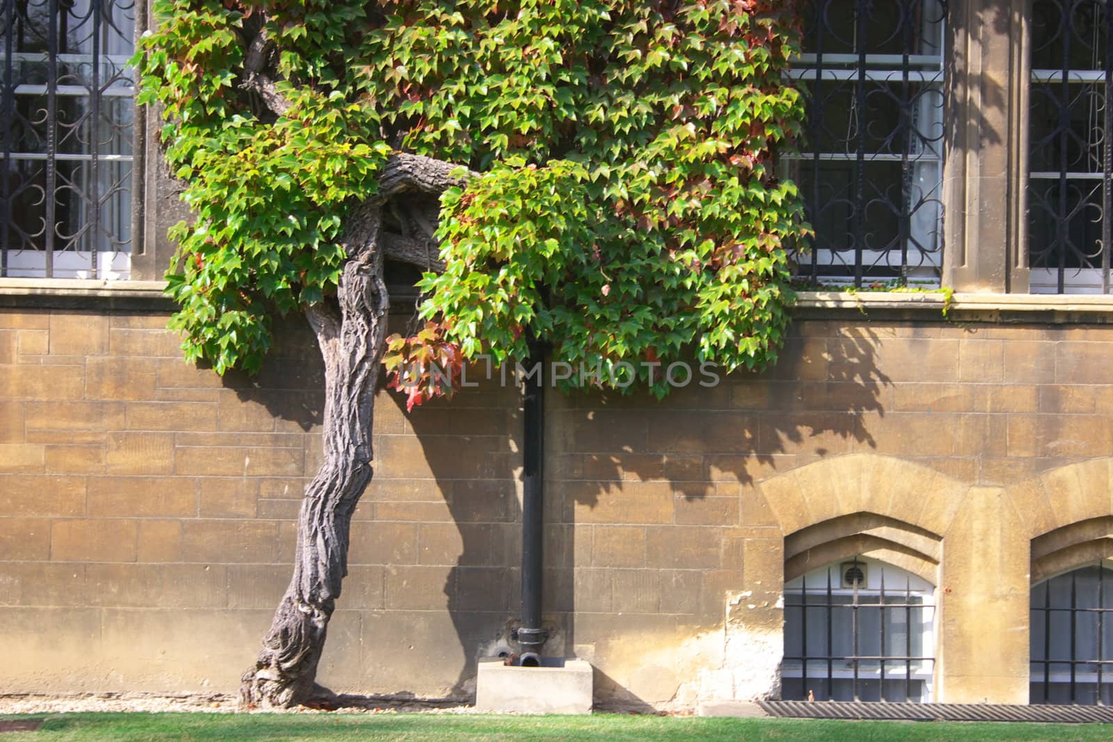 Detail of the side wing of Christ Church, Oxford, UK. Christ Church is one of the colleges of Oxford Univeristy and at the same time the Cathedral church of the diocese of Oxford.