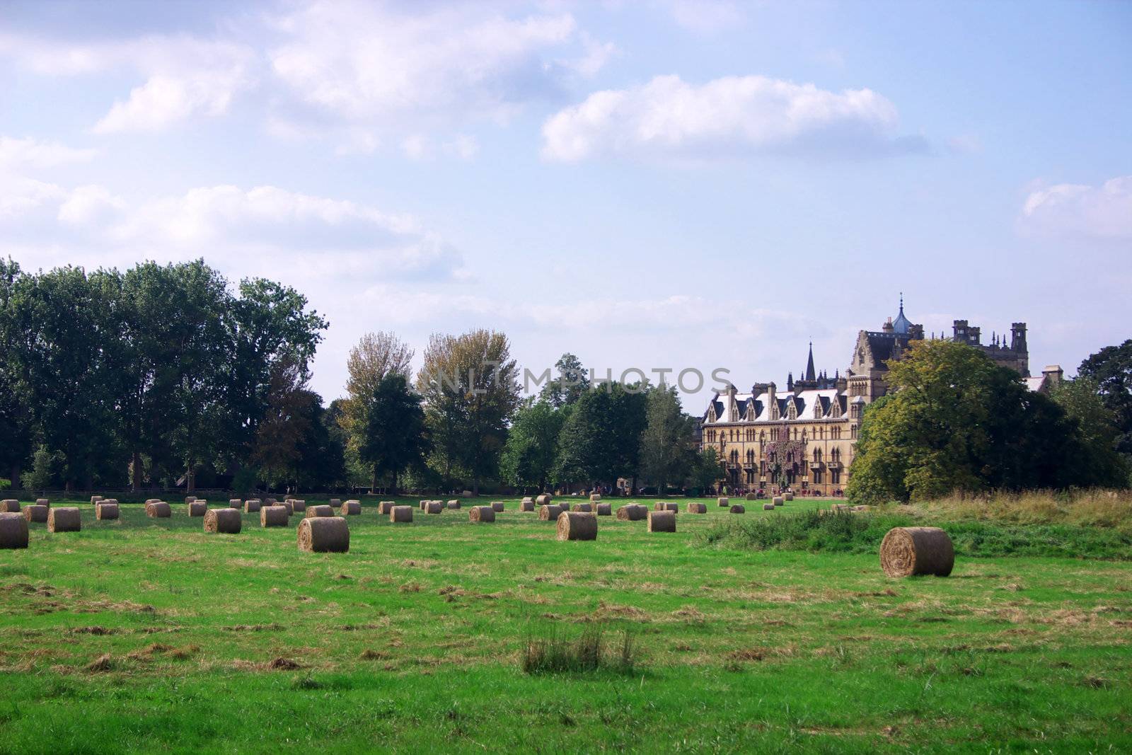  Christ Church Meadow, Oxford, UK is the land that belongs to the church-college. Christ Church is one of the colleges of Oxford Univeristy and at the same time the Cathedral church of the diocese of Oxford.