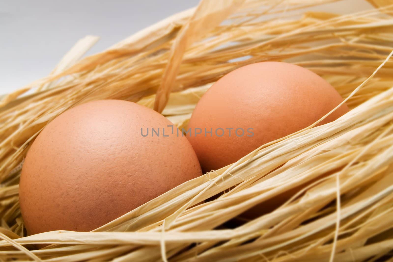 Two eggs in a kitchen