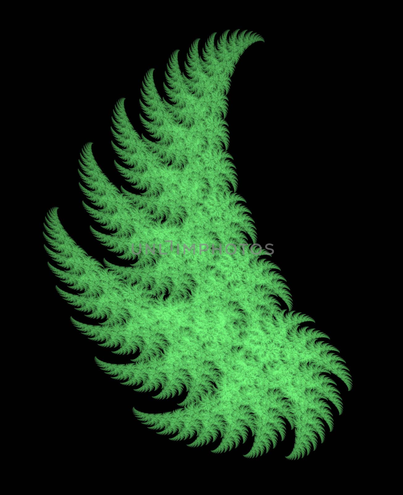 isolated high res fractal, abstrat tree, plenty of copy space at left side