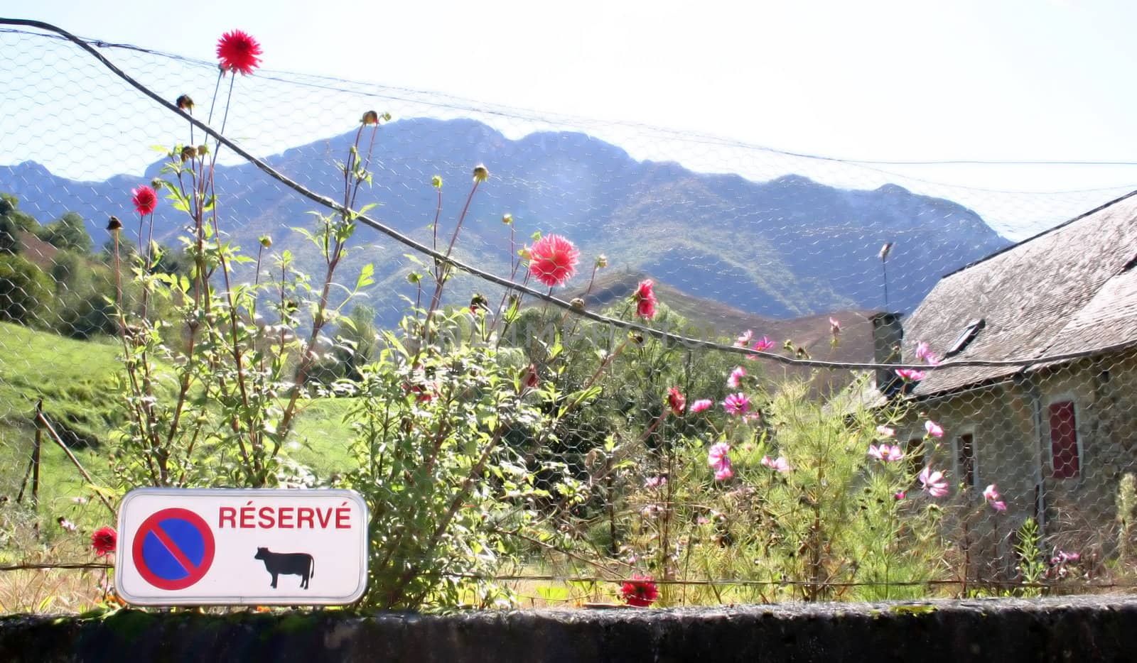 funny sign "reserved for cows" in the french Pyrenees