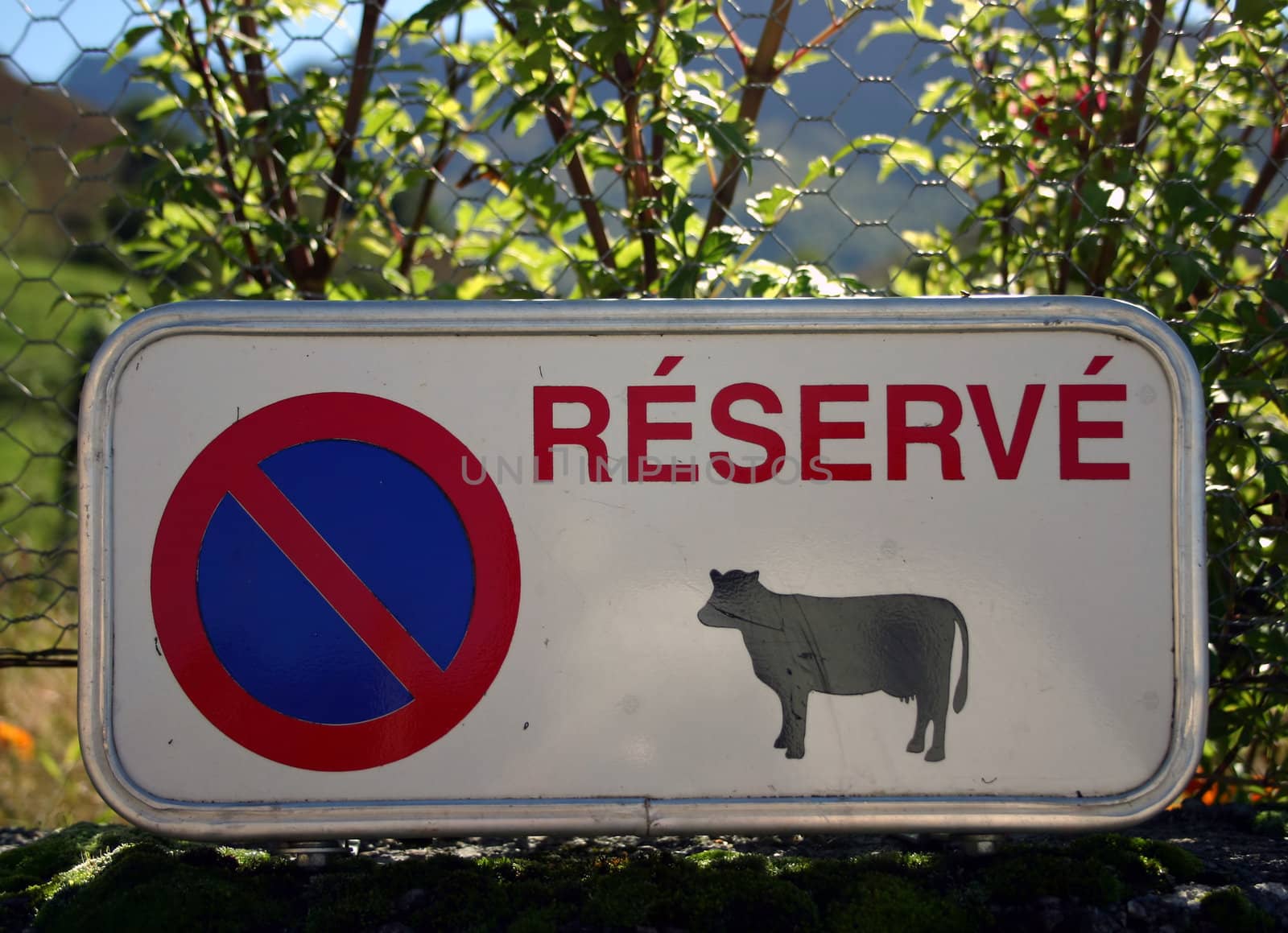 funny sign "reserved for cows" in the french Pyrenees