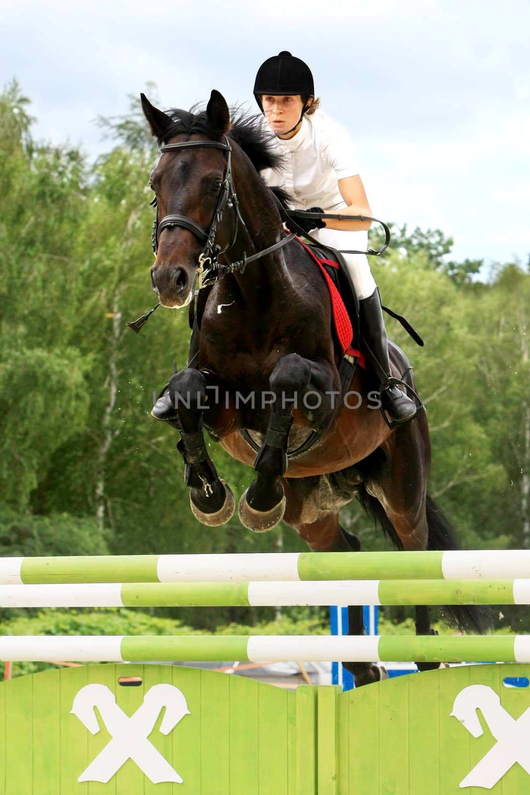 Ukrainian equestrian sportsman shows his skills during the Open Equestrian Cup of Kyiv July 18, 2008.