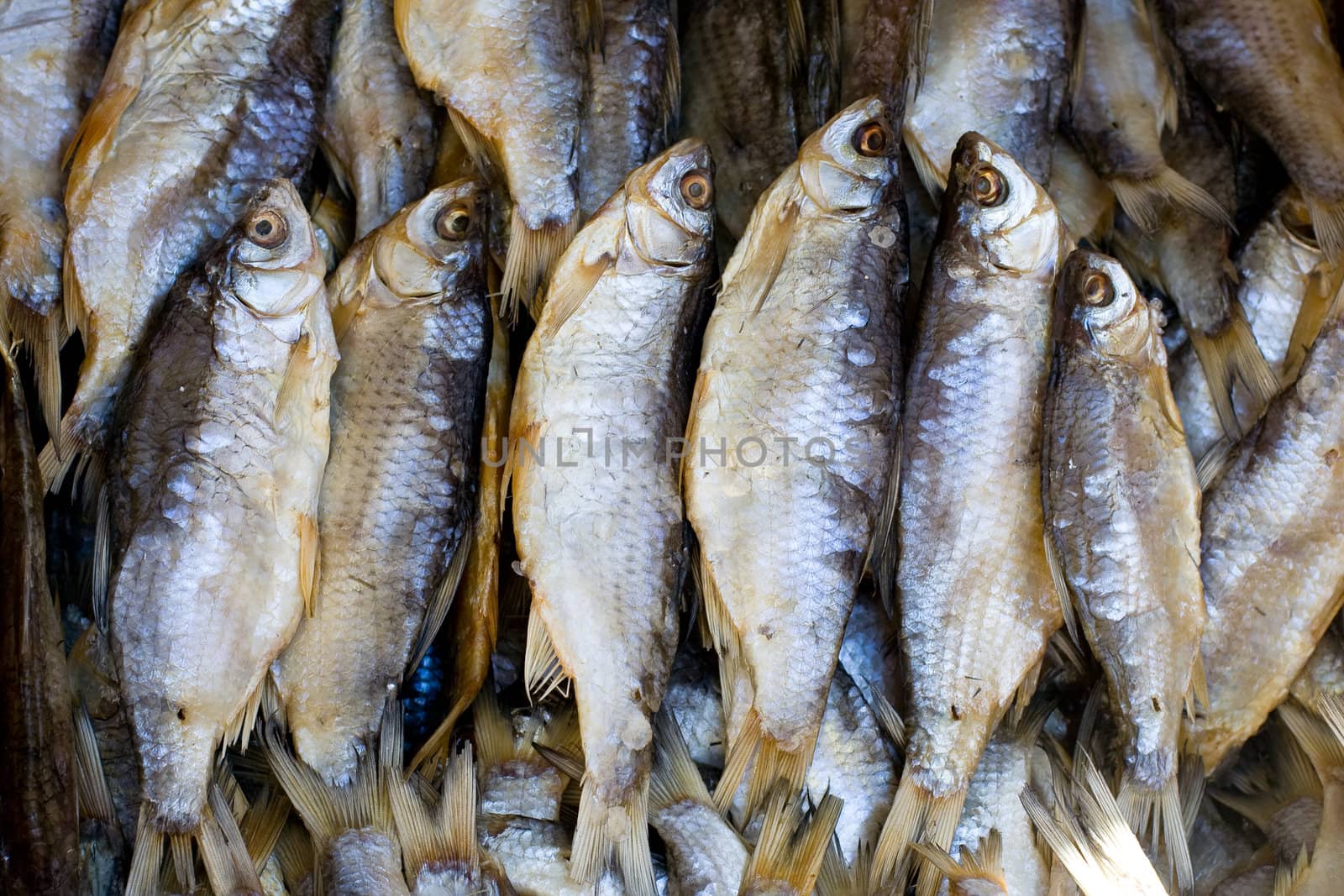 Background of dried fish