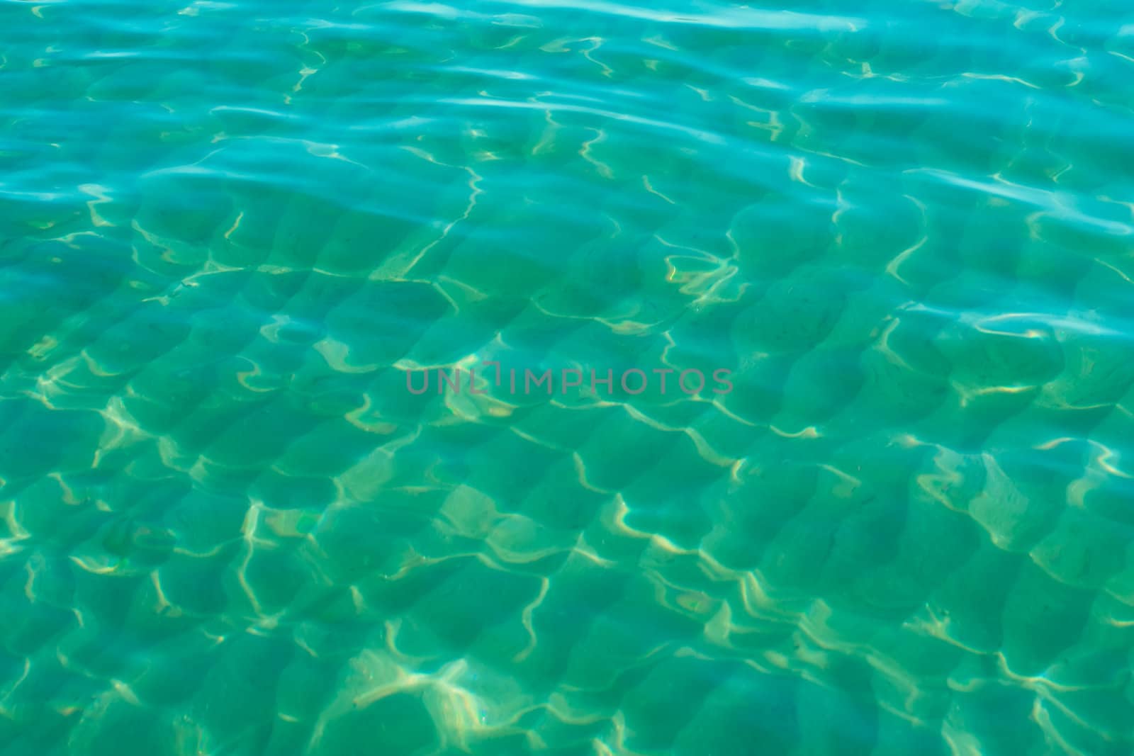 Green water background