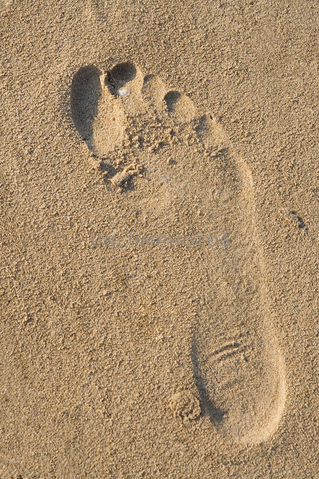 Footprint by Sergius