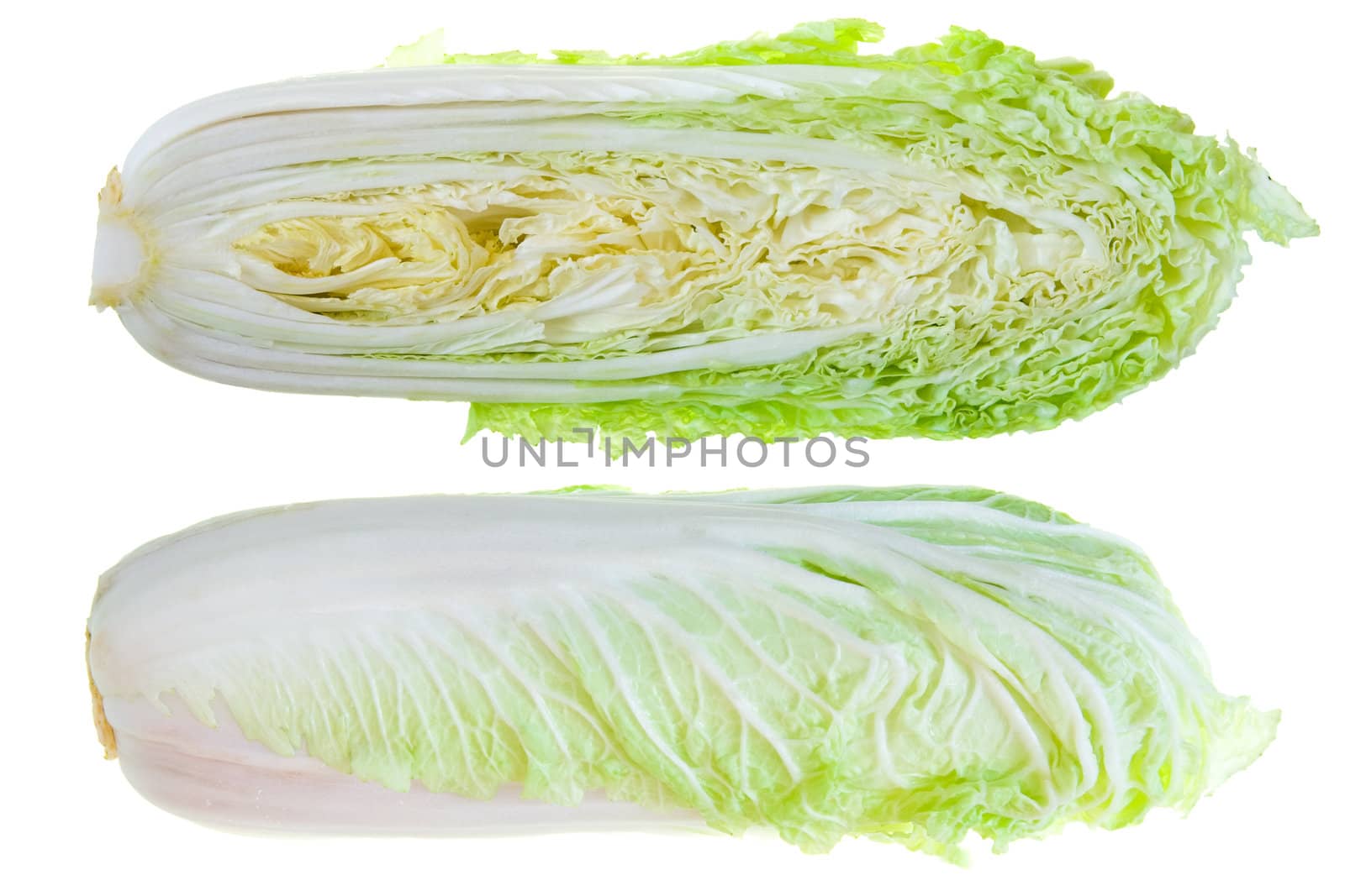 Chinese Cabbages. Cross Section. Isolated On White