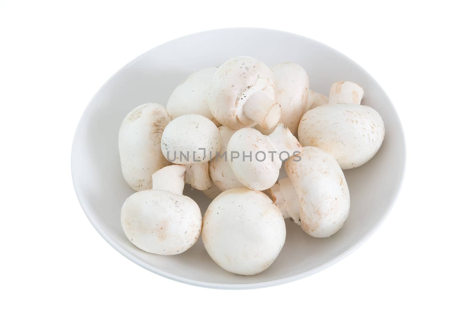Mushrooms in a White Plate by Sergius