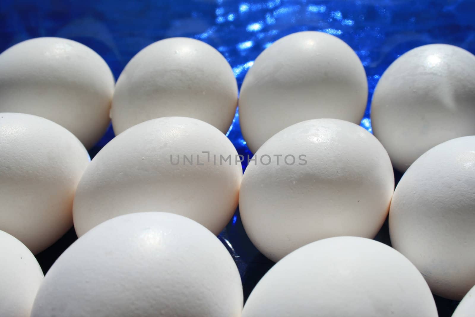 Close up of the white chicken eggs.

