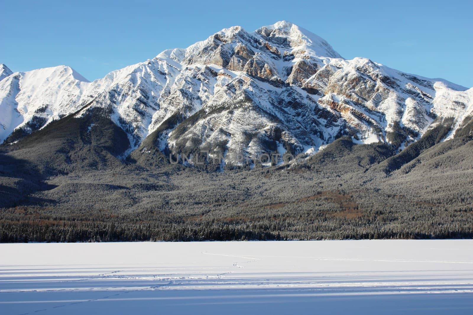 Canadian Snowy Mountain by chrisga