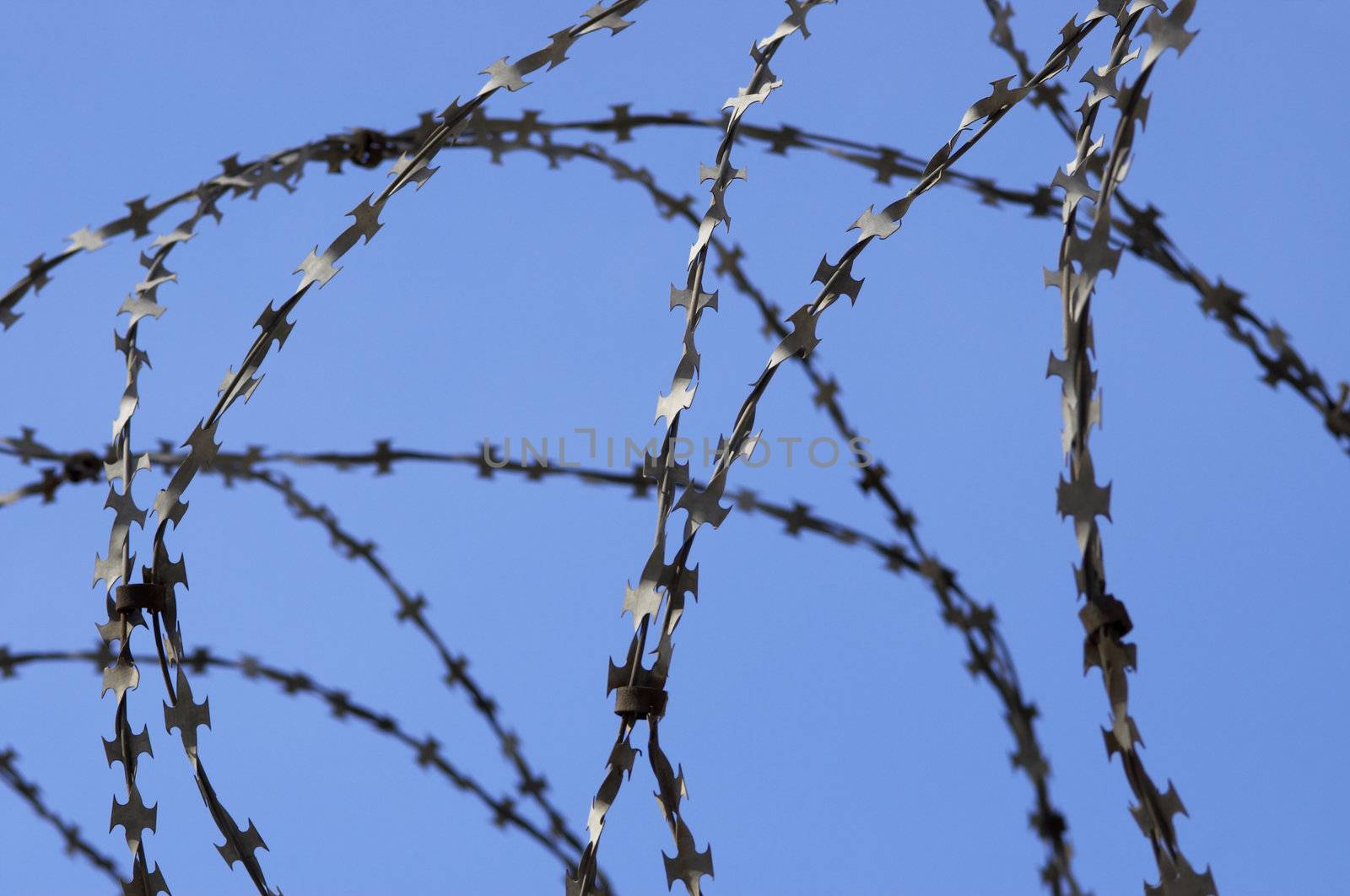  barbed wire