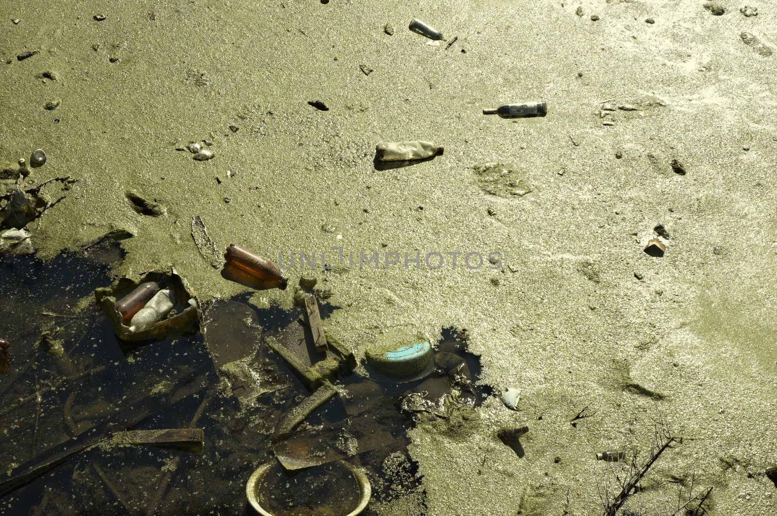 ecocatastrophe