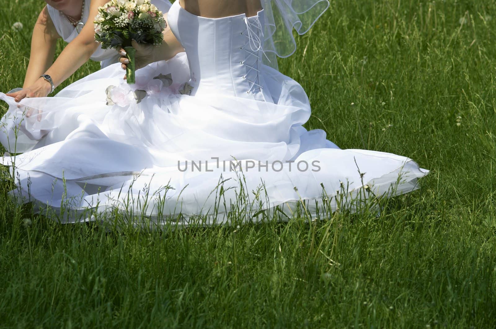 bride on the grass background