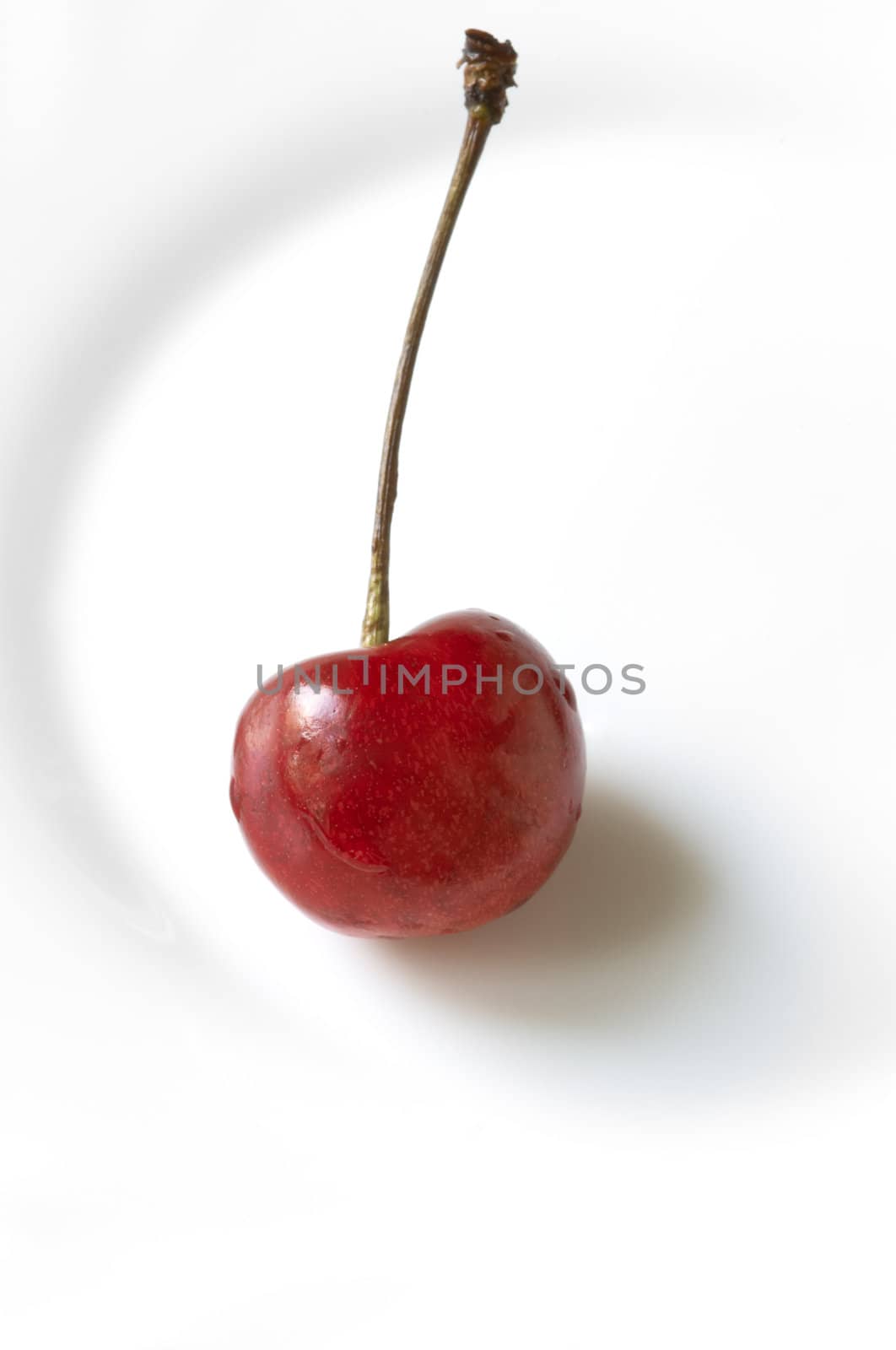 sweet cherry