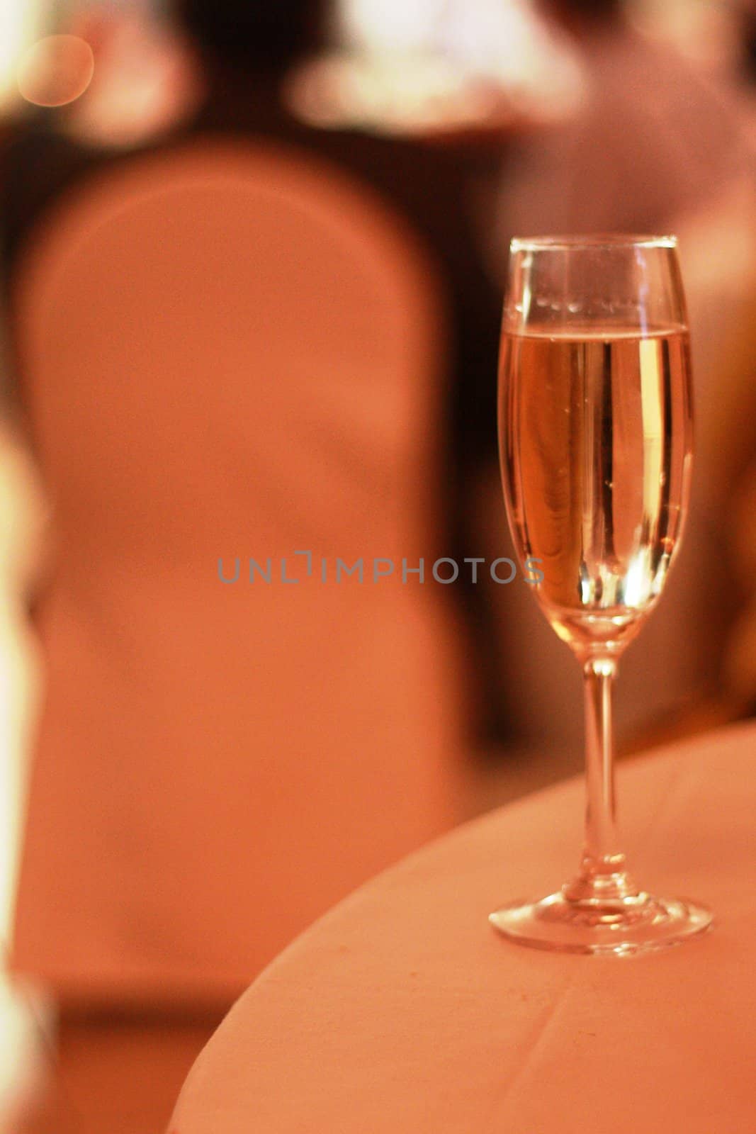 Champagne Flute by chrisga