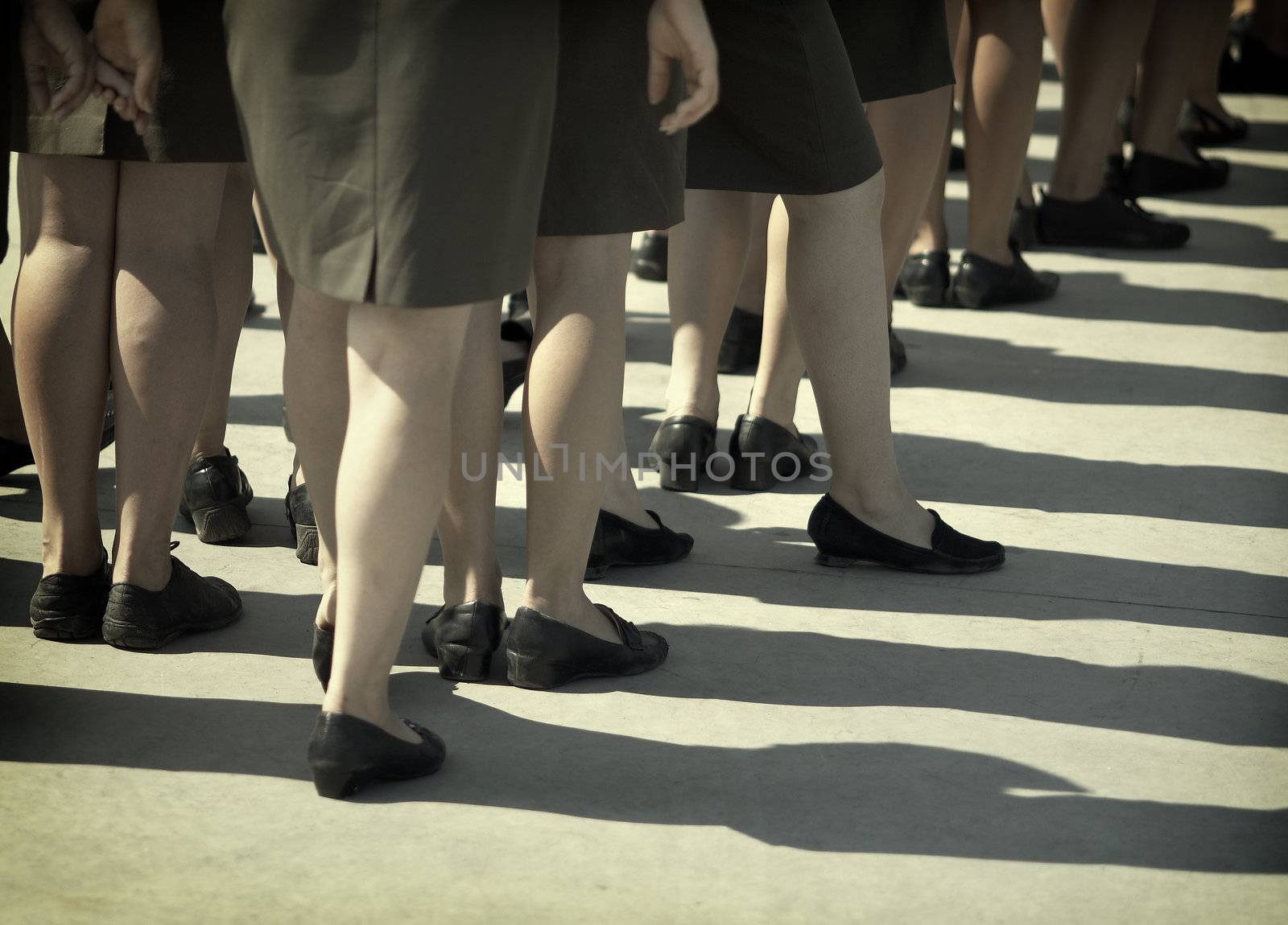 a lot of legs (special f/x,focus on the center)