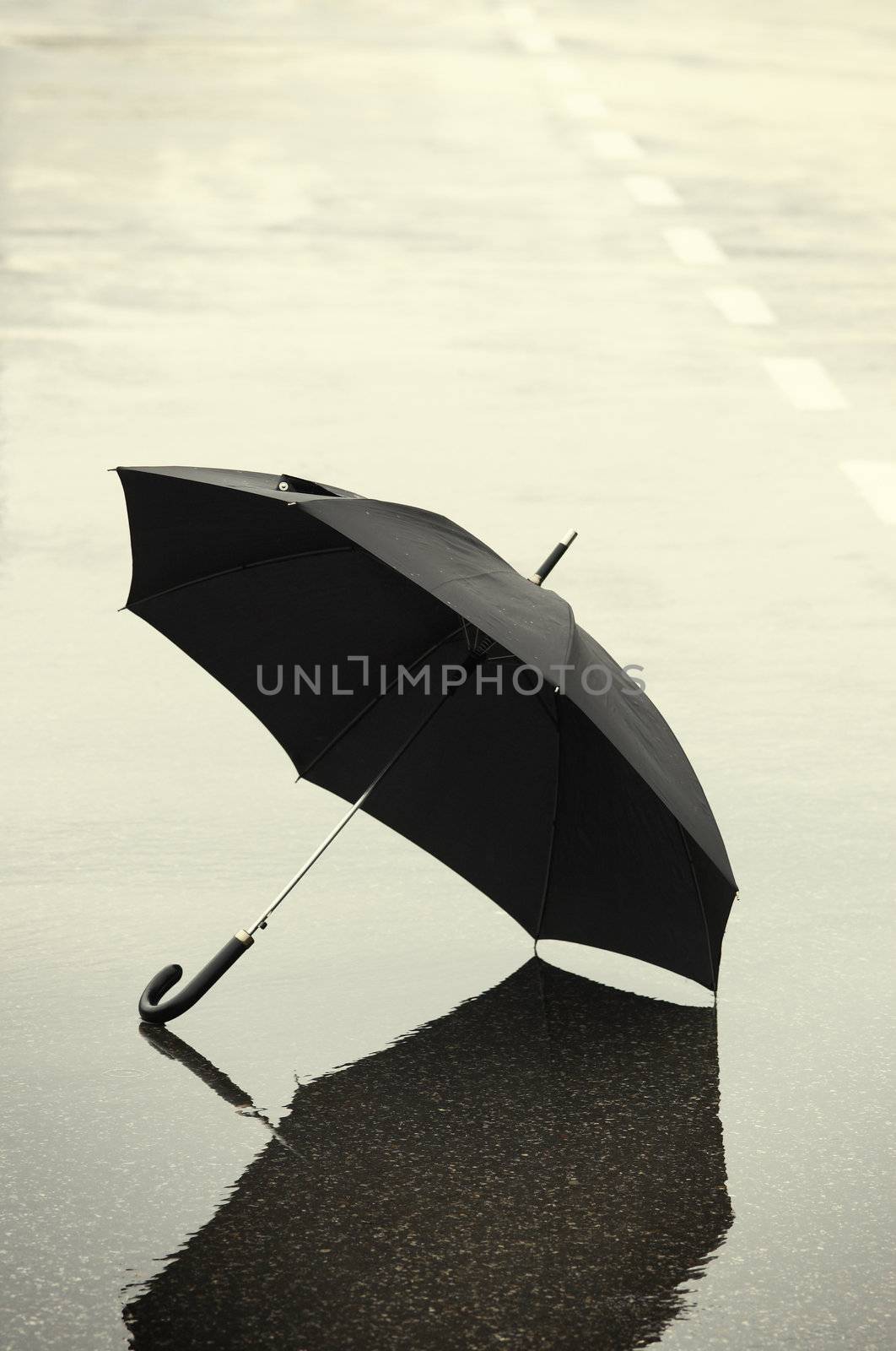 umbrella on the street(special photo f/x)