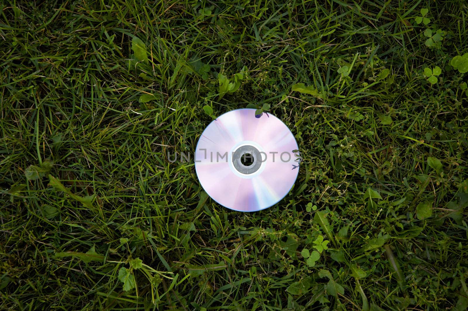 cd on the green grass