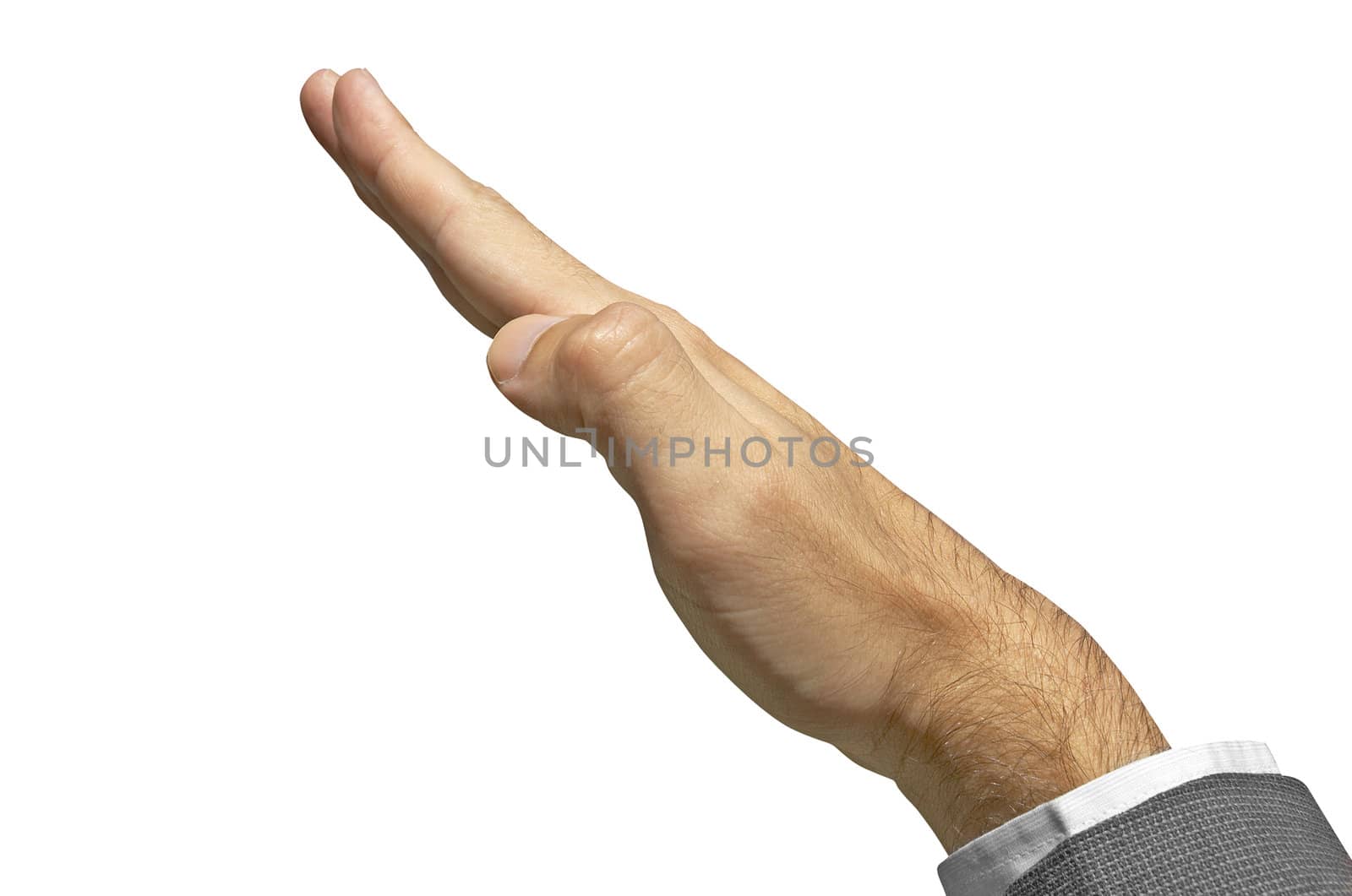 hand on the white background