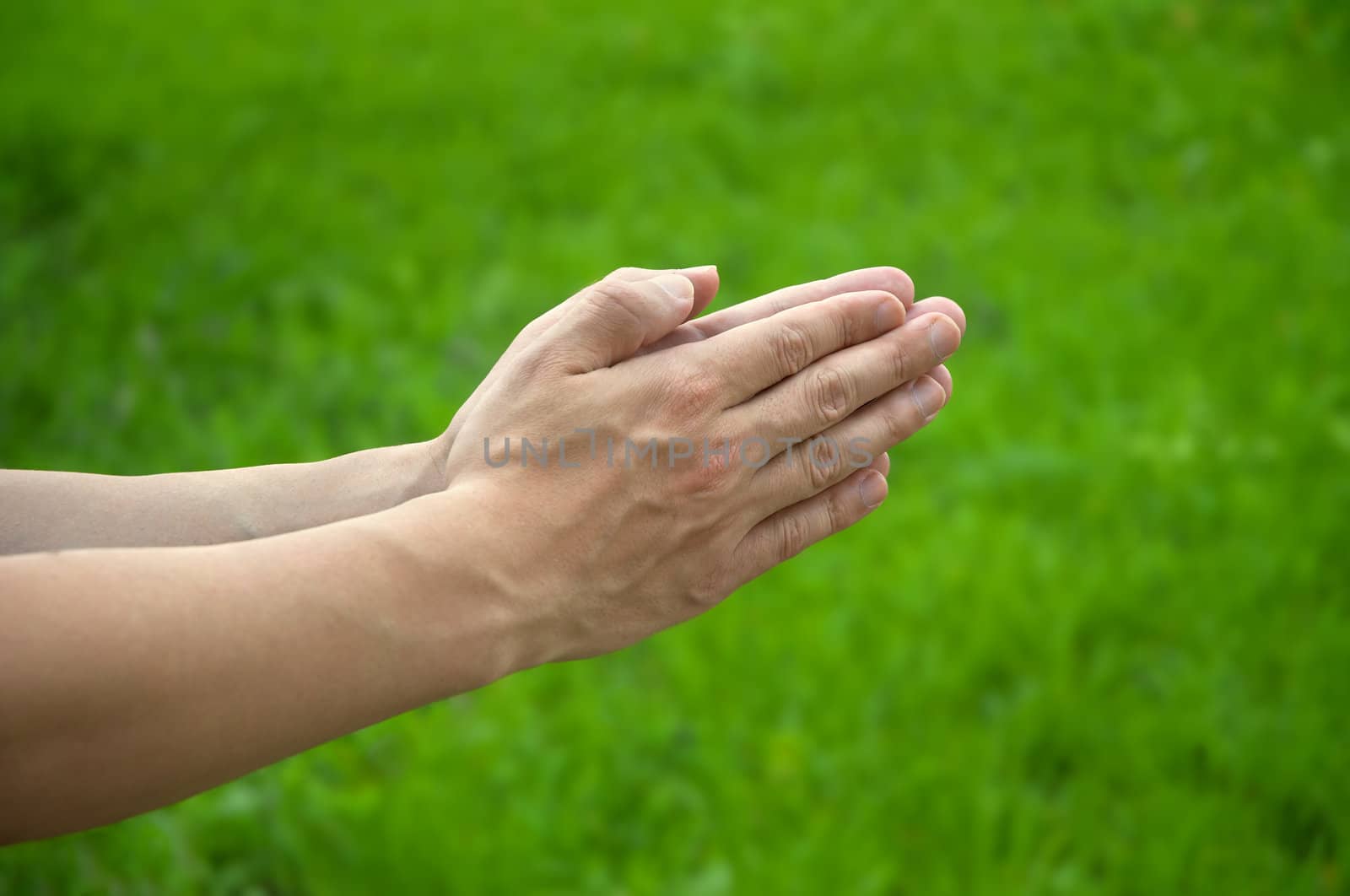 hands of the man on the green grass background with space for your text