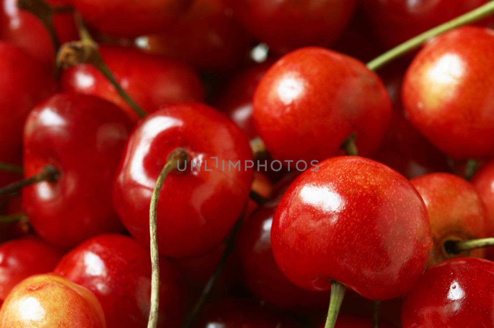 fresh wet cherry background(soft,focus on the nearest berry on the right lower corner)