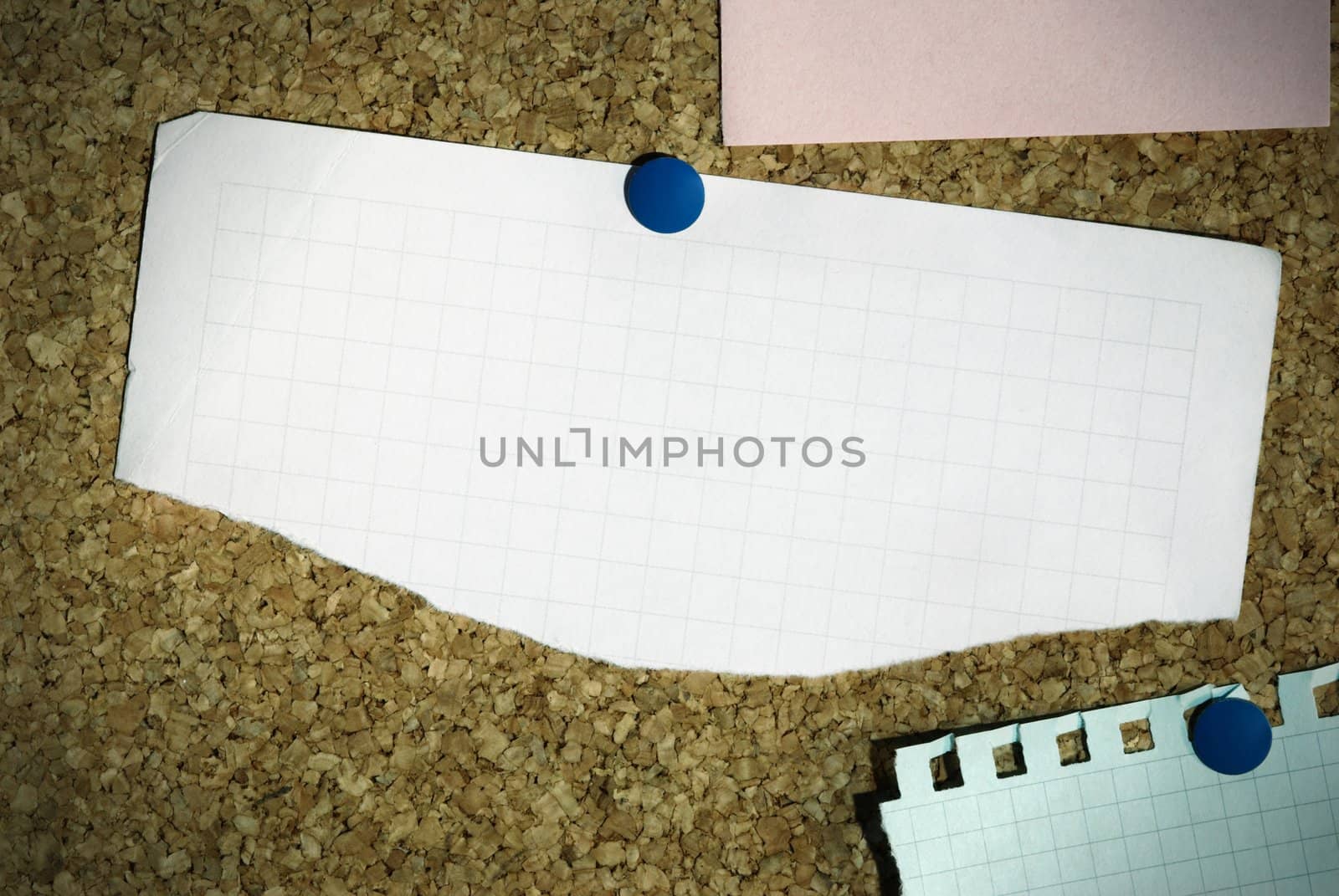 focus point on the center of the photo,special photo f/x with dark vignetting and special lighting