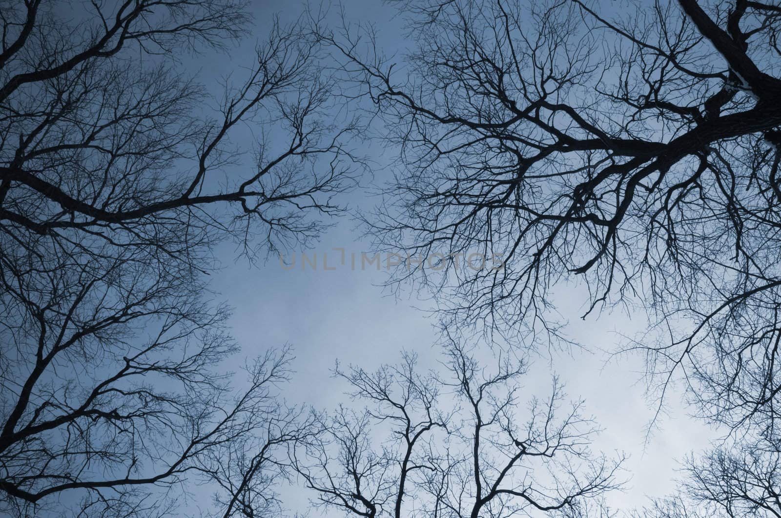 focus point on the center of the photo,special blue photo f/x