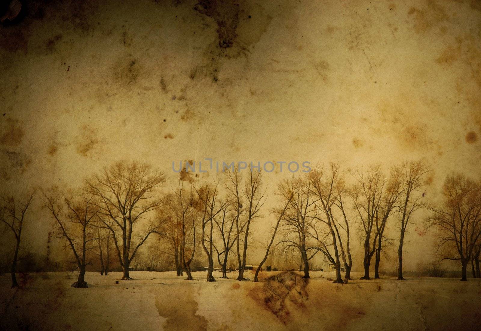 old background(special warm f/x and dark vignetting) and trees
