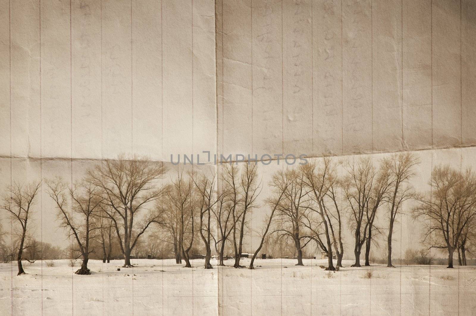 special sepia toned photo f/x with dark vignetting, made from my images