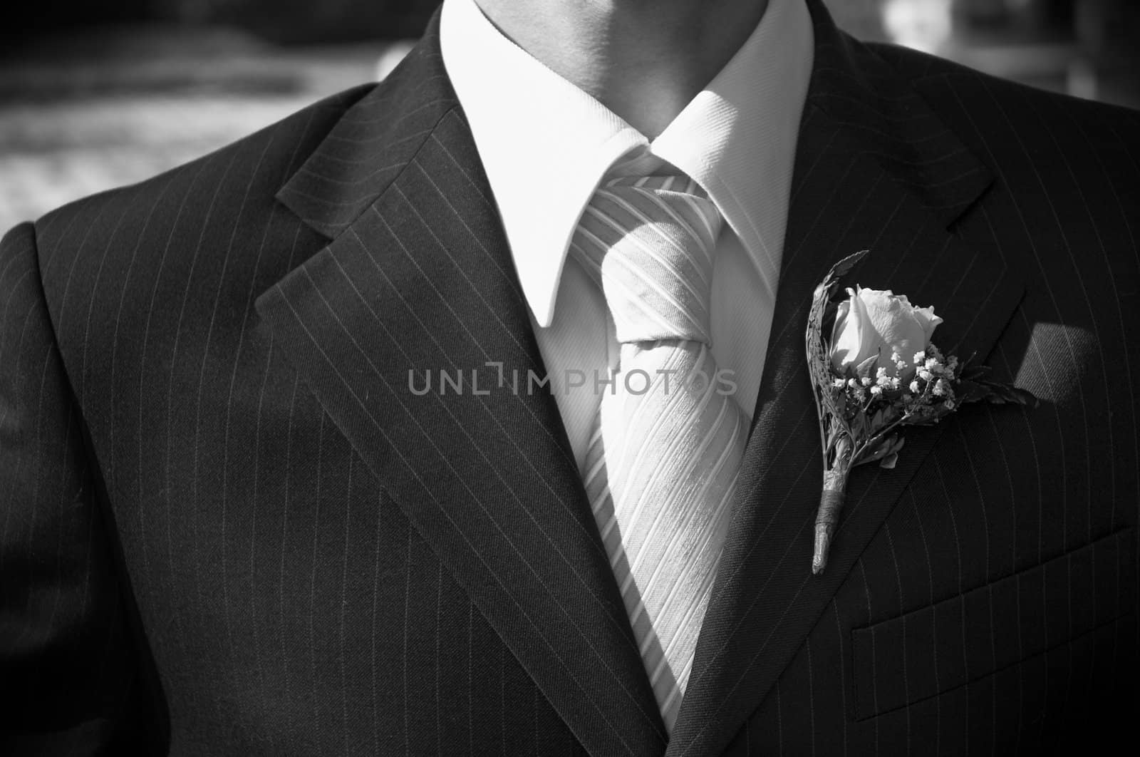 necktie of the fiance in close up(special photo f/x)